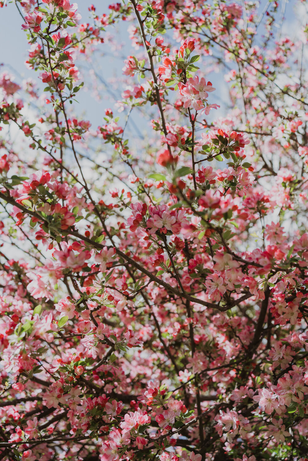 Styled Spring Elopement at Mona Farm featuring the Renee Grace Bridal 'Alana' gowns