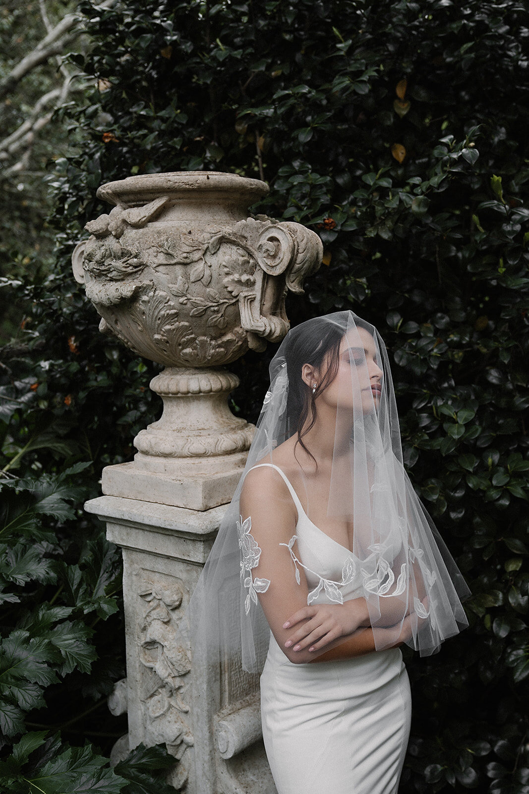 The Renaissance Collection by Tania Maras. Desktop Image